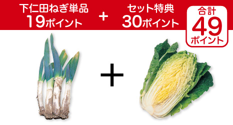 下仁田ねぎ・400g&白菜・1/2コ