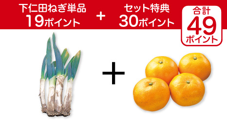 下仁田ねぎ・400g&温州みかん・450g