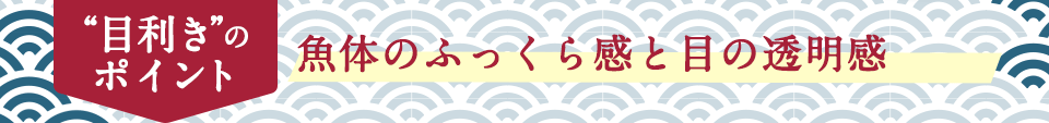 “魚体のふっくら感と目の透明感