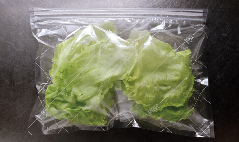 レタス保存