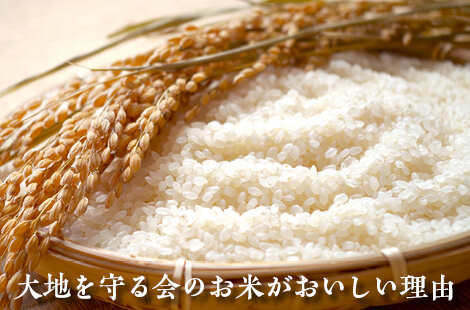 新米食べ比べ&ごはんのおとも