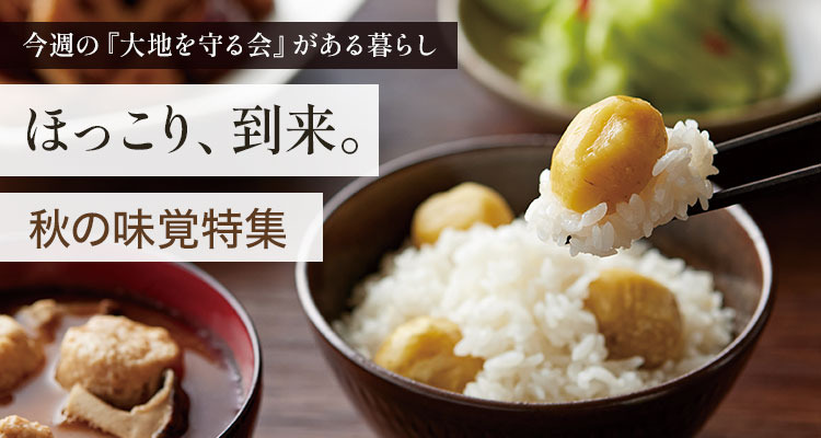 秋の味覚特集