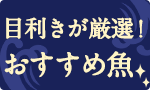 目利きが厳選！おすすめ魚