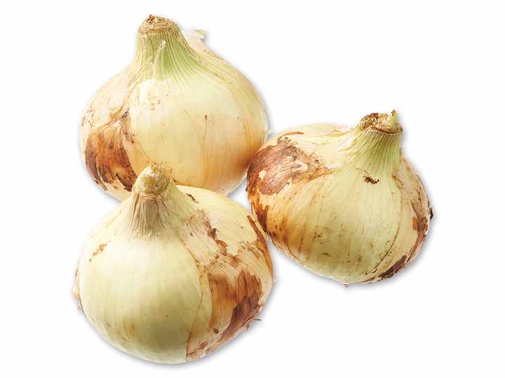 九州の新玉ねぎ　400G