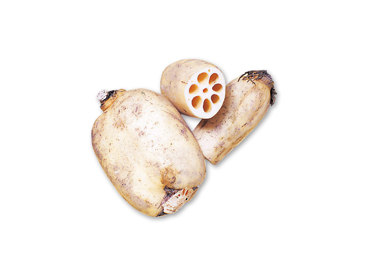徳用・れんこん 500G