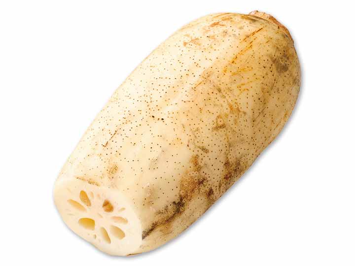 早掘り！新加賀れんこん　270G