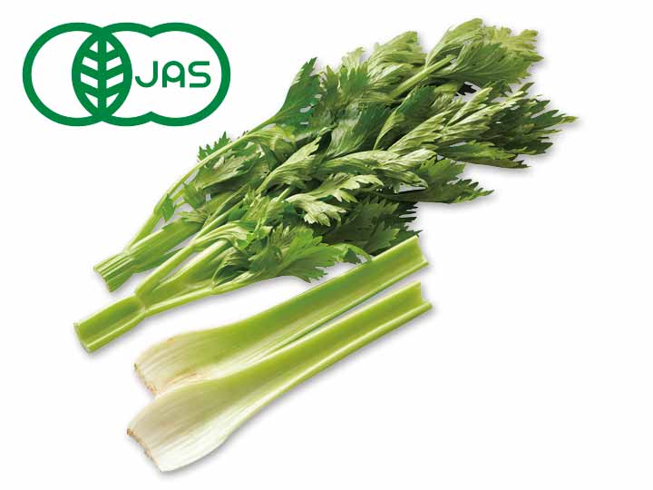 沖縄育ちの有機海セロリ　150G