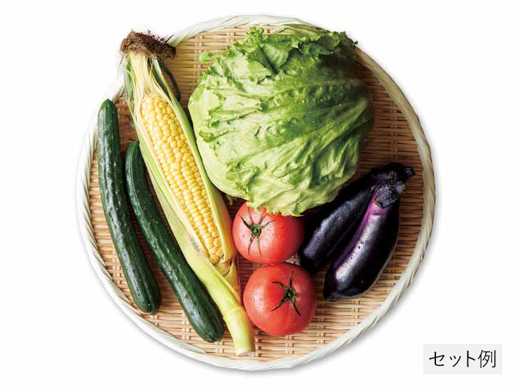 夏の食卓彩り野菜セット