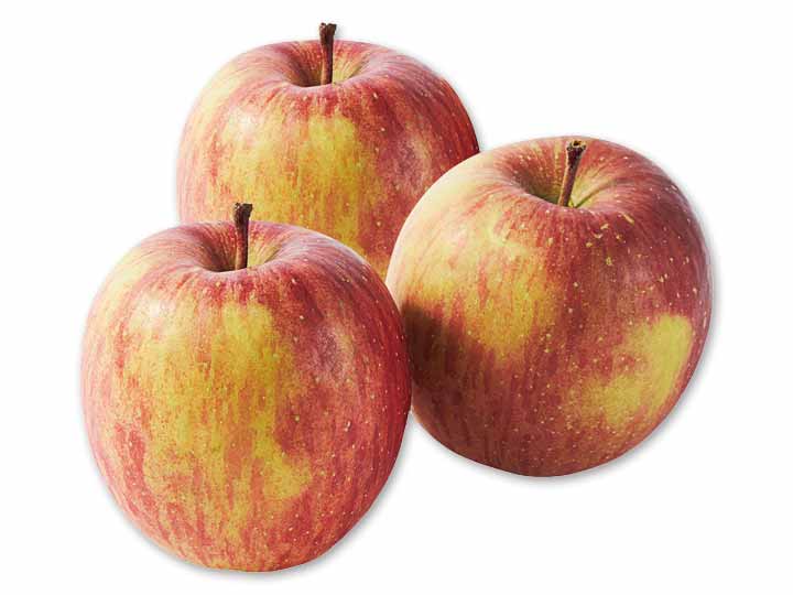 新農研の葉とらずふじ（りんご）・熊被害支援金付　800G