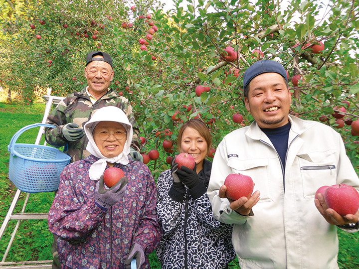 新農研の葉とらずふじ（りんご）・熊被害支援金付　450G_2