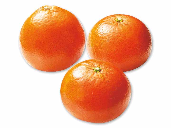 冬のコク甘みかん　みはや　500G