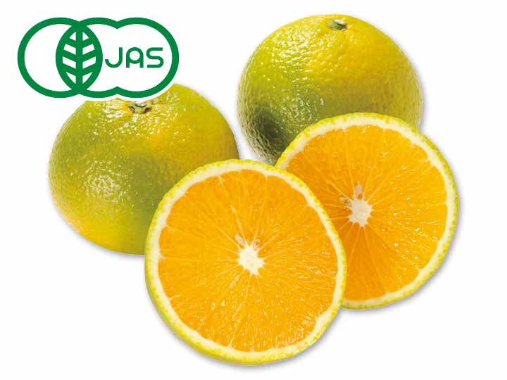 有機スイートスプリング　500G