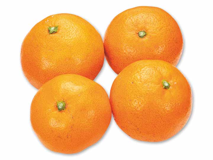 山下紅みかん　400G