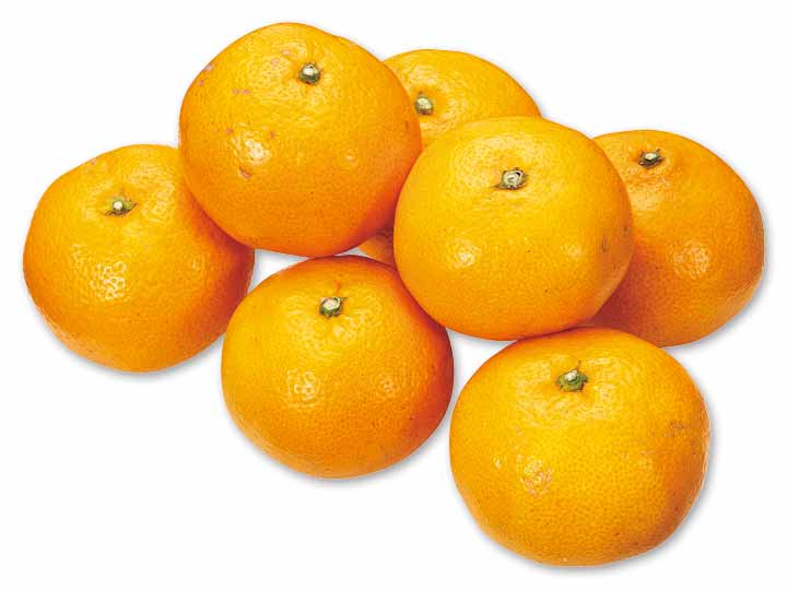 宮崎の陽射しが育てたみつばちみかん　700G