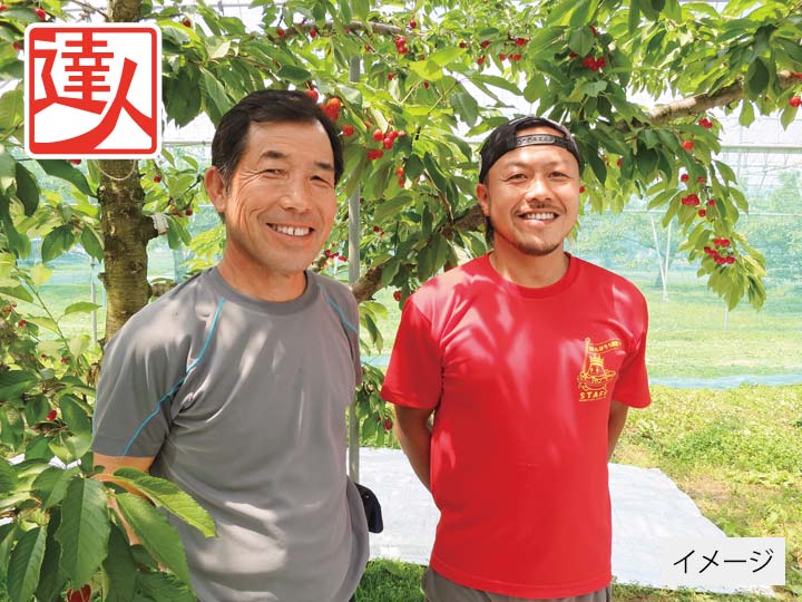 頒布会・直送　奥山さんのとっておき黄金桃_2