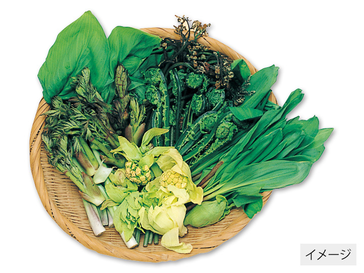 直送・平庭高原の山菜セット　800G