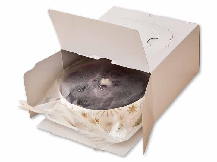 北海道産チーズのブルーベリーレアチーズケーキ_3