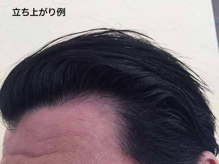 パルセイユ　ヘアスタイリングミルク　ハードタイプ_2
