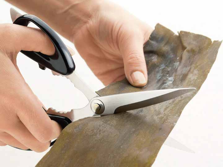 予約　プログレード　やさしい調理バサミ_2