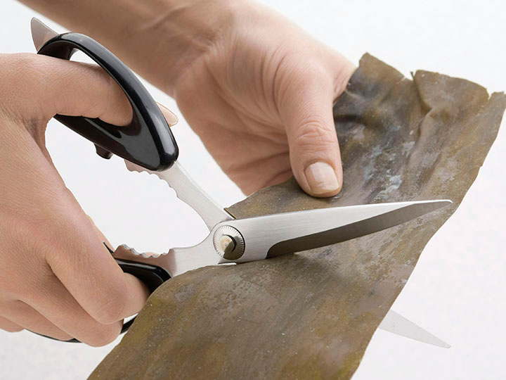 予約　プログレード　やさしい調理バサミ_4