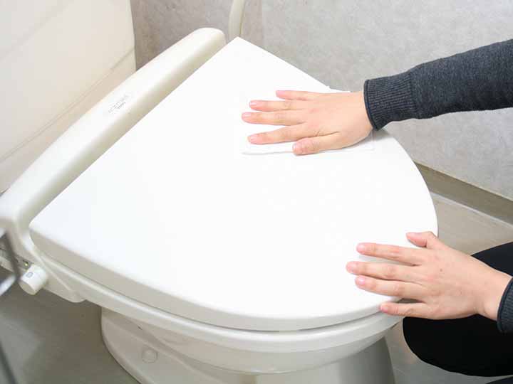 エコメイト　流せるトイレお掃除シート　20枚入_4