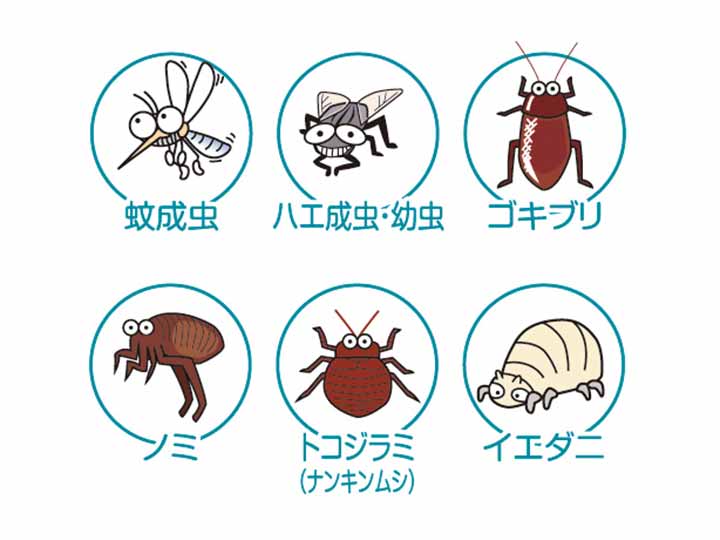 天然防虫スプレーピレカロール_2