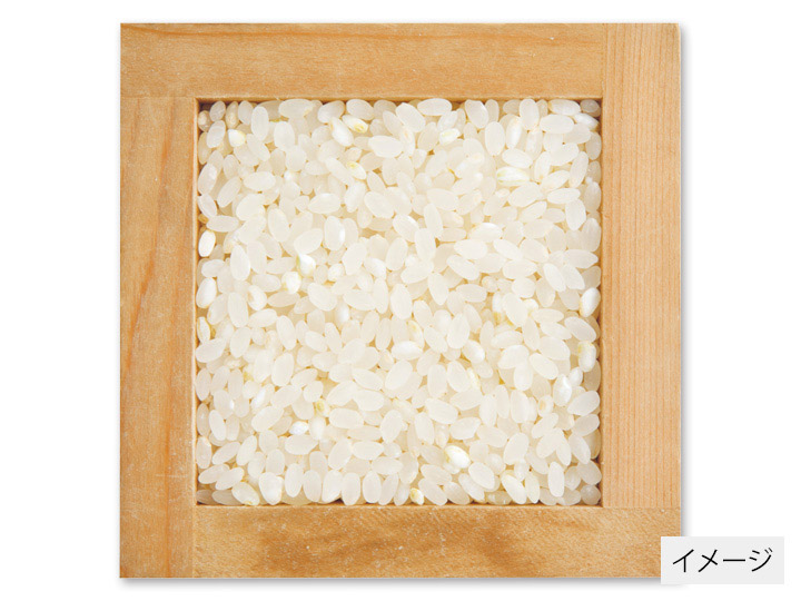 北海道ななつぼし胚芽米