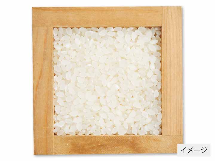 熊本あそコシヒカリ（無洗米）白米