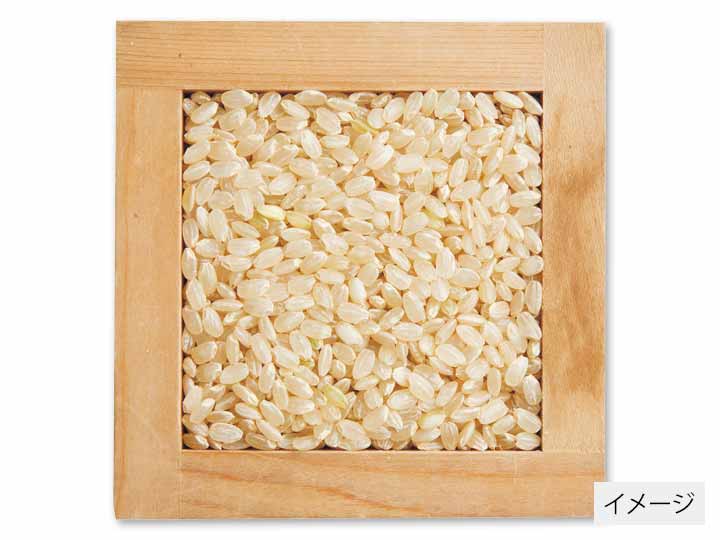 新潟新之助玄米　2KG