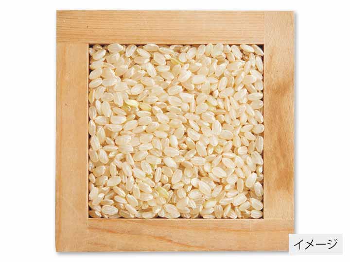 新潟コシヒカリ玄米　3KG