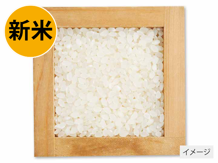 宮崎コシヒカリ（無洗米）白米　3KG