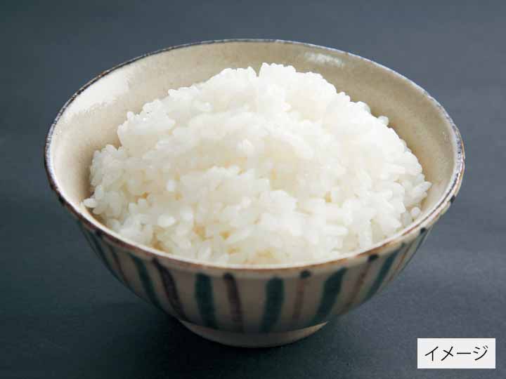 千葉ふさおとめ白米　5KG_2