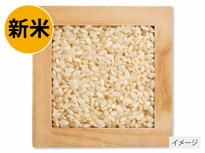 高知コシヒカリ（栽培期間中節減対象農薬不使用）玄米　2KG