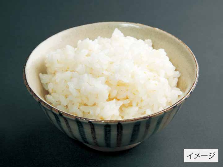 宮城ササニシキ胚芽米　3KG_2