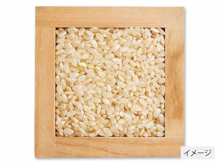 宮城ミルキークイーン玄米　3KG