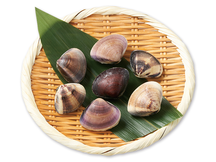 旨味たっぷり　九十九里産はまぐり_2