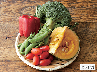 春をさきどり！九州・沖縄野菜セット写真