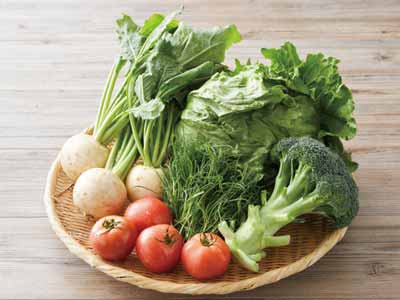 初夏の食卓彩り野菜セット写真