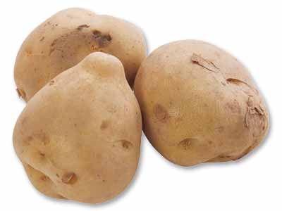 北海道・金井さんの甘熟じゃがいも 500G写真
