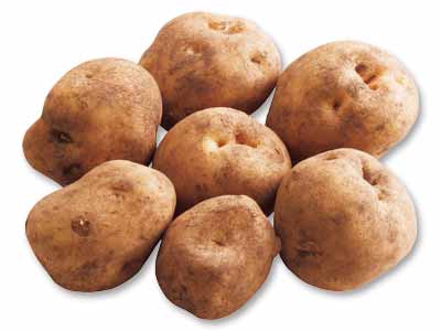 北海道・金井さんの甘熟じゃがいも 1KG写真