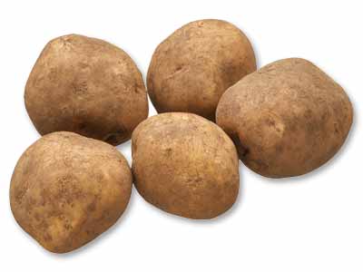 八甲田のかまくらじゃがいも 500G写真