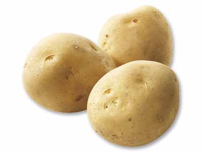 九州・沖縄の新じゃがいも　400G写真