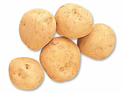 九州・沖縄の新じゃがいも 800G写真