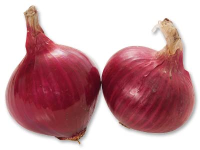 ◆サラダにおすすめ◆赤玉ねぎ 500G写真
