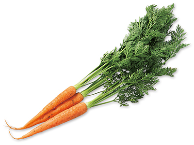 ◆ほろ苦な葉は炒めものに◆葉付人参　200G写真