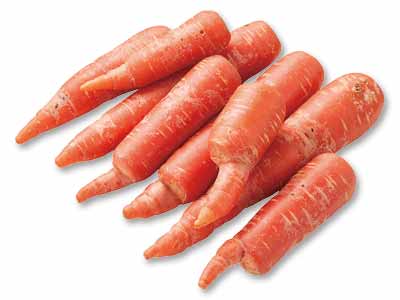 大地のもったいナイふぞろい京くれない人参 1KG写真