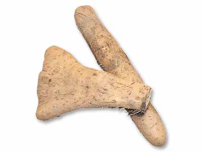 ねばトロ大和いも 350G写真