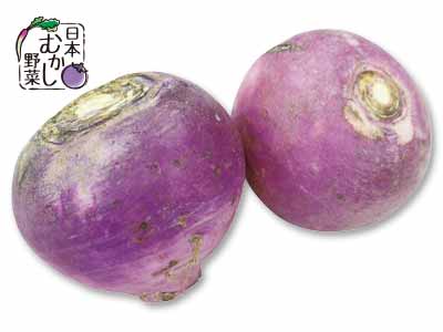 日本むかし野菜　焼畑あつみかぶ　300G写真