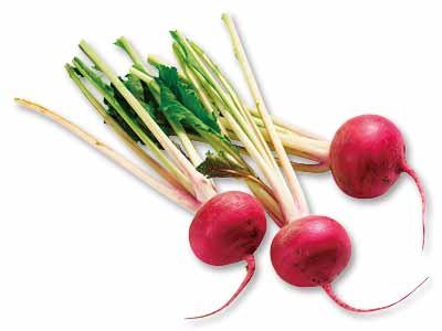 やわらかサラダかぶ・もものすけ　400G写真