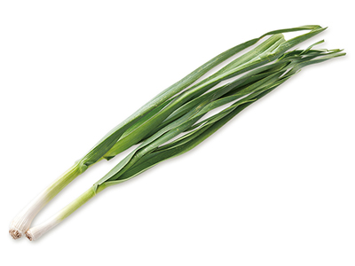 知る人ぞ知る！？匂い控えめ風味豊か　にんにくの葉　70G写真